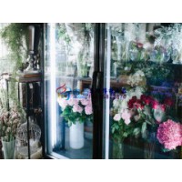 衢州鲜花店展示冷柜，1.2米风冷鲜花柜价格，花材花束保鲜柜