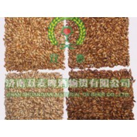 大量供应价位合理的麦芽粉-推荐麦芽粉