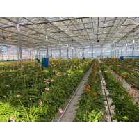 智能升降基质槽-空中草莓栽培系统-智能种植塔-无土栽培